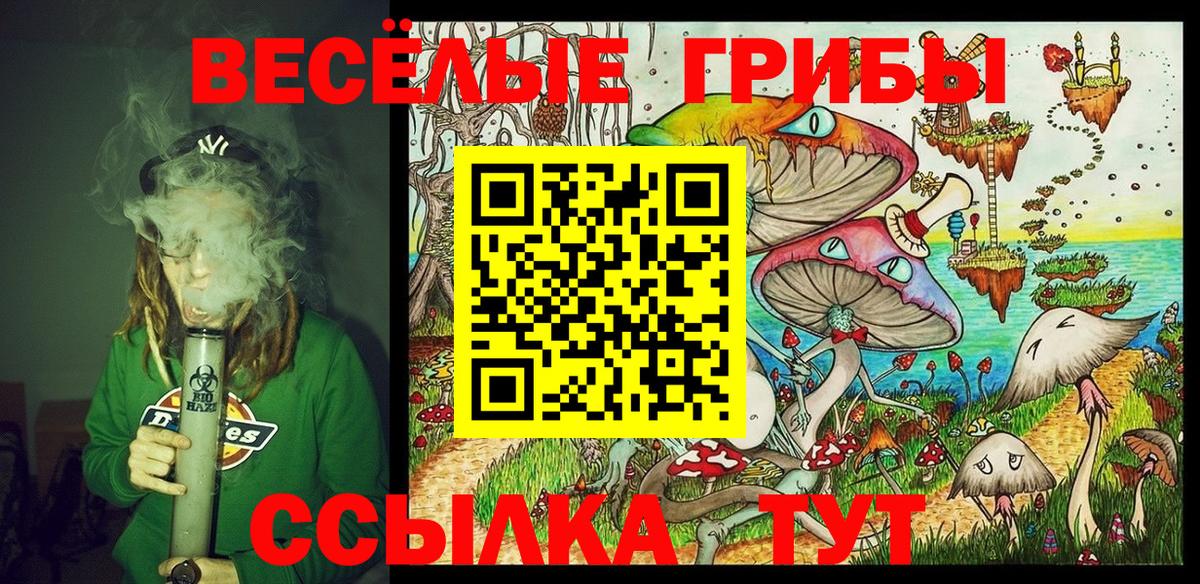 Псилоцибиновые грибы прущие грибы Тула