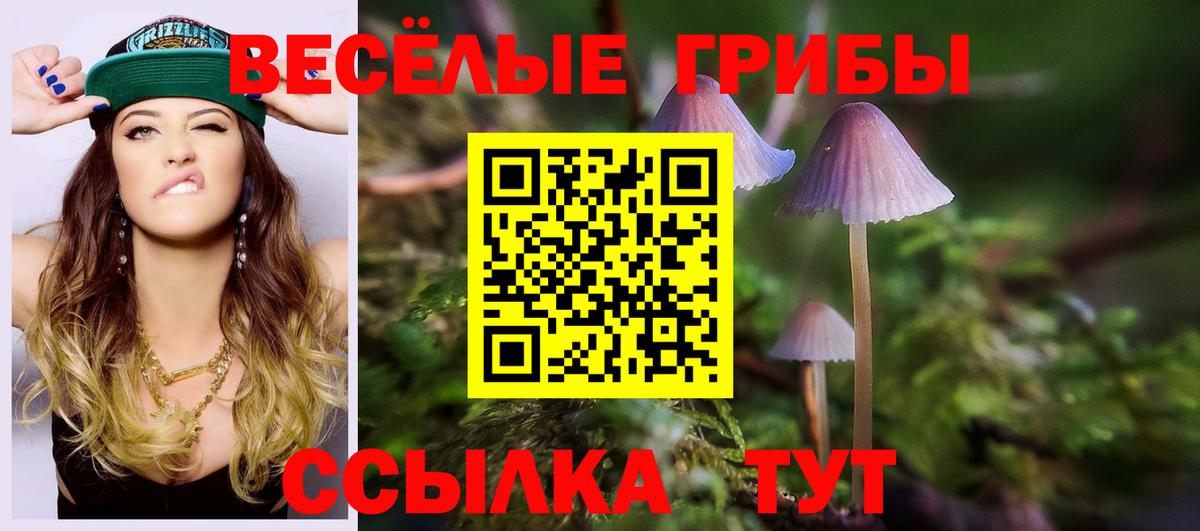 Тула  Галлюциногенные грибы Psilocybe  Вход с VPN 